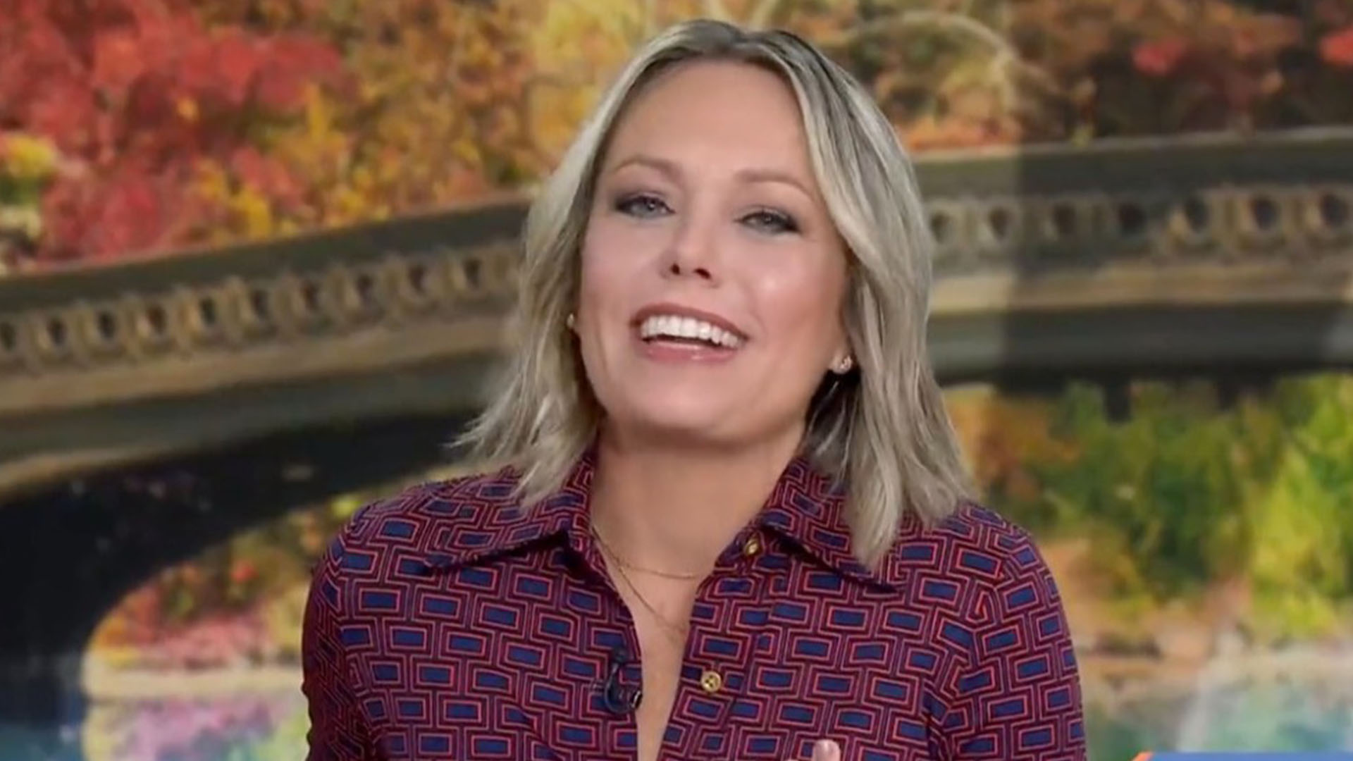 Today Show: Walt Frazier's Championship Rings Impress (or Annoy) Dylan Dreyer Today Show: Walt Frazier's Championship Rings Impress (or Annoy) Dylan Dreyer