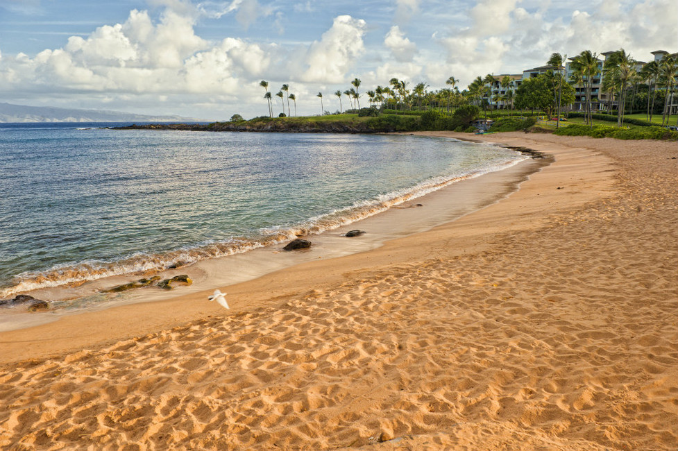 Top 10 Beaches In The US (2025): Dr. Beach's Expert Opinion Top 10 Beaches In The US (2025): Dr. Beach's Expert Opinion