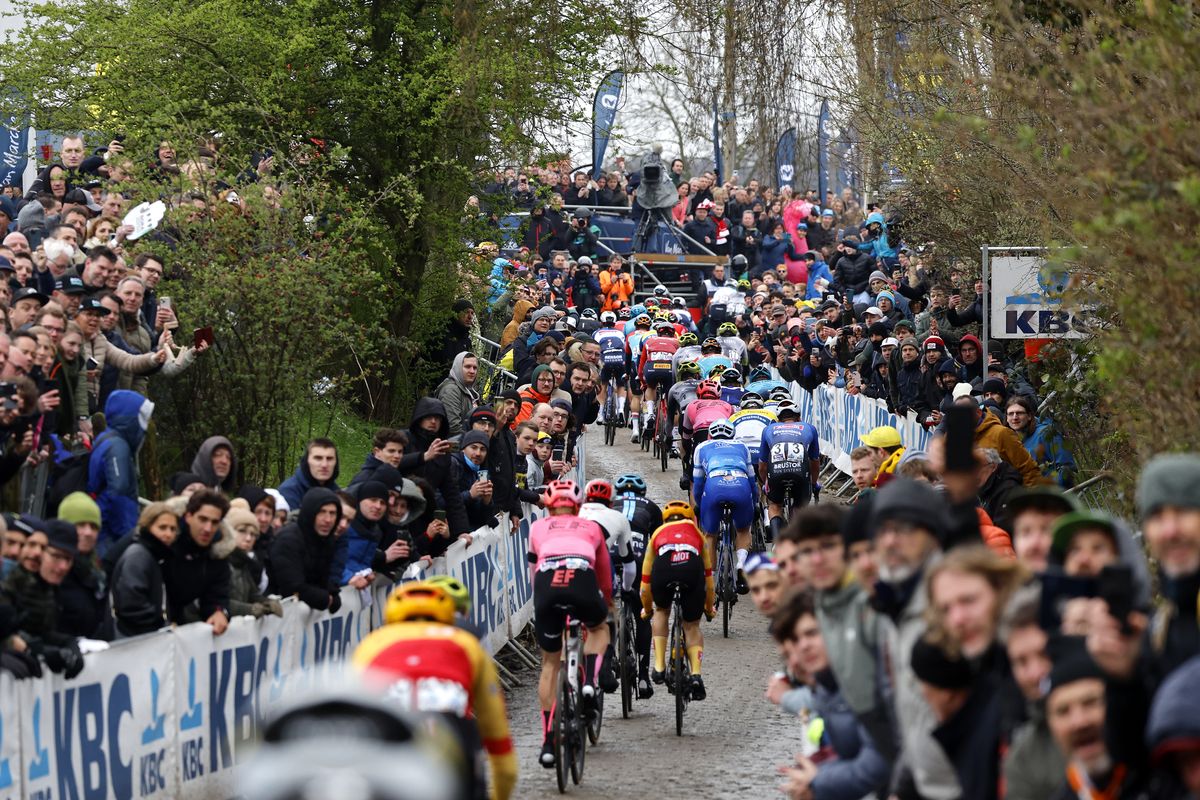 Tour Of Flanders 2024: Pogačar Triumphs, Van Der Poel's Record Bid Falls Short Tour Of Flanders 2024: Pogačar Triumphs, Van Der Poel's Record Bid Falls Short
