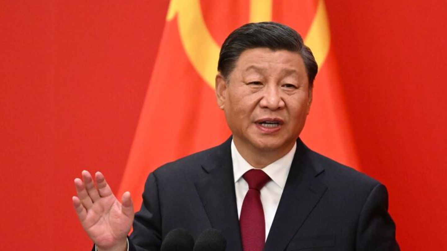 Tres Toros Rumbo A China: Regalo Del Presidente De Uruguay A Xi Jinping Tres Toros Rumbo A China: Regalo Del Presidente De Uruguay A Xi Jinping