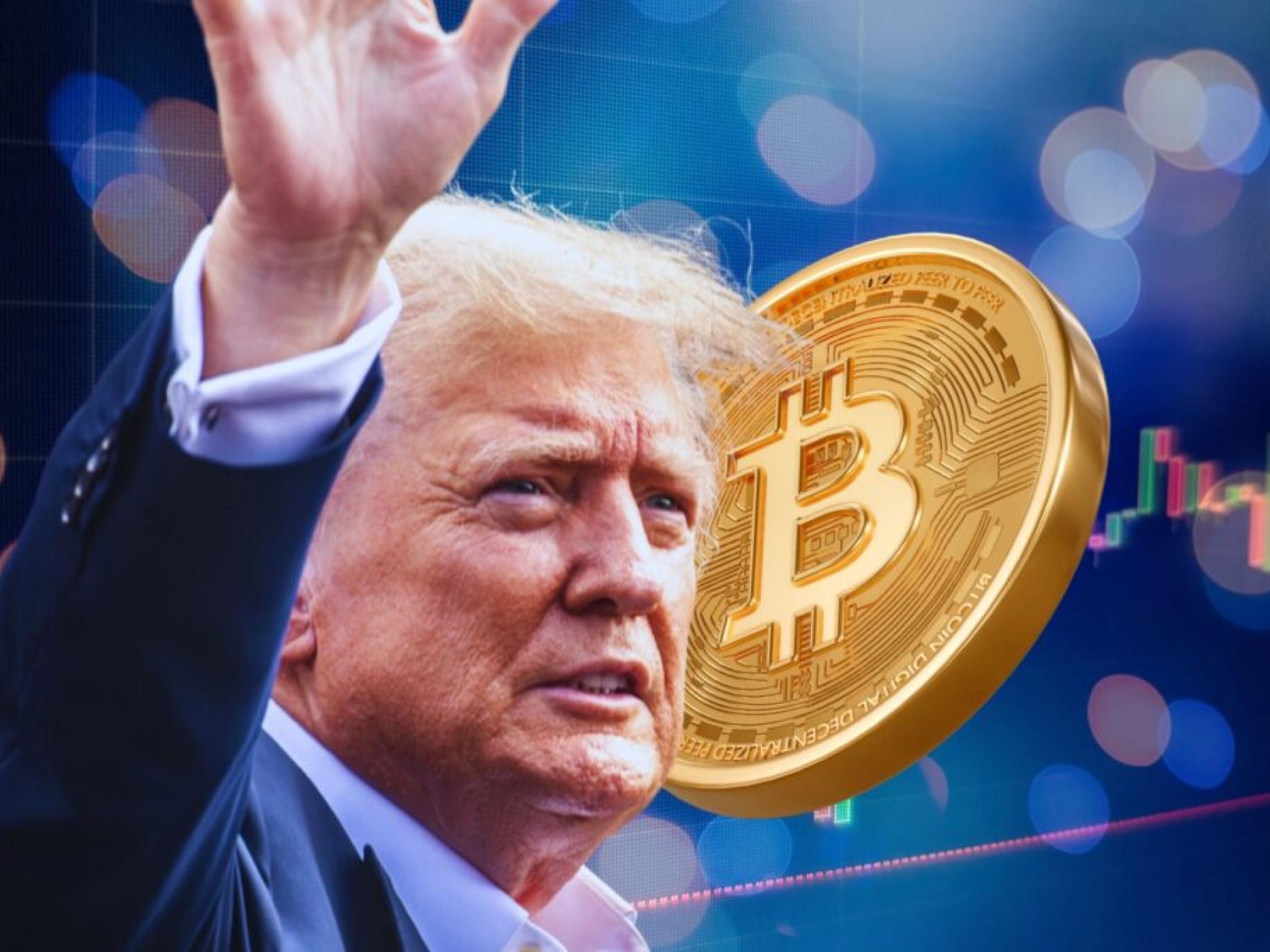 Trump's Crypto Investments: A Presidential Success Story? Trump's Crypto Investments: A Presidential Success Story?