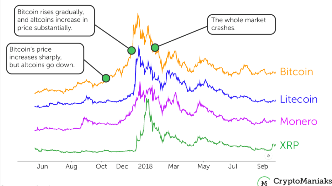 Two Days Of Crypto Frenzy: Inside A Wild Party Two Days Of Crypto Frenzy: Inside A Wild Party