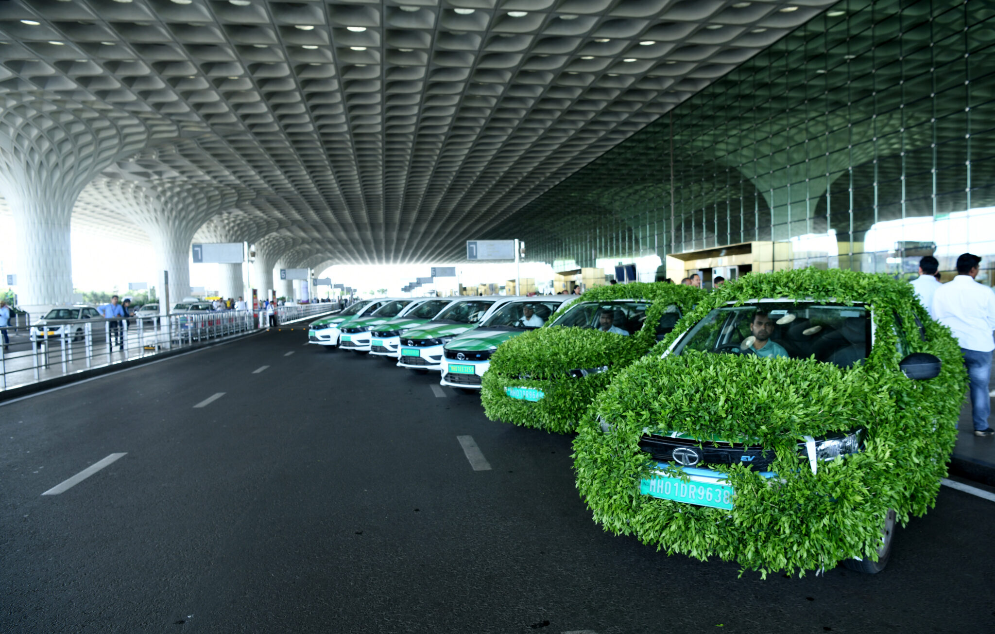 Uber In Mumbai: New Pet Travel Options Explained Uber In Mumbai: New Pet Travel Options Explained