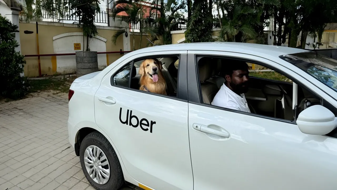 Uber Pet Travel: A Step-by-Step Guide For Mumbai Residents Uber Pet Travel: A Step-by-Step Guide For Mumbai Residents