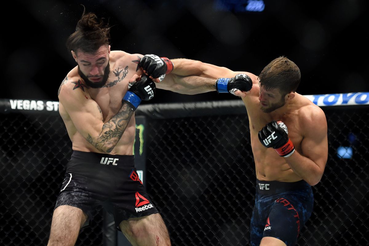 UFC Fight Night 220 Results: Sandhagen Vs. Figueiredo Fight Recap UFC Fight Night 220 Results: Sandhagen Vs. Figueiredo Fight Recap