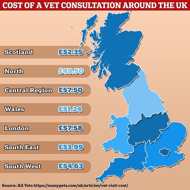 UK Pet Owners Face Soaring Veterinary Bills: Is Corporate Pressure To Blame? UK Pet Owners Face Soaring Veterinary Bills: Is Corporate Pressure To Blame?
