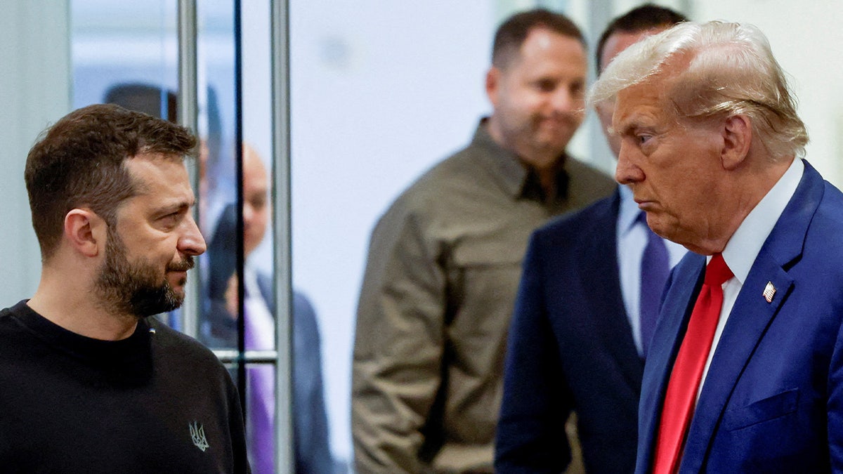 Ukraine-Russia Negotiations: Zelensky's Agreement After Trump Intervention Ukraine-Russia Negotiations: Zelensky's Agreement After Trump Intervention