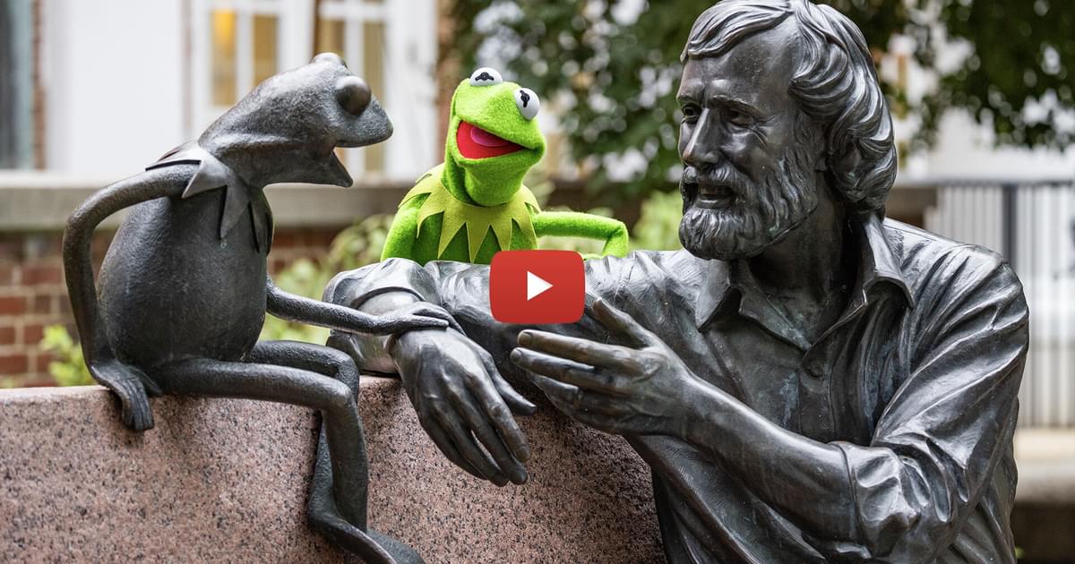 UMD Commencement 2025: Kermit The Frog's Unexpected Announcement UMD Commencement 2025: Kermit The Frog's Unexpected Announcement