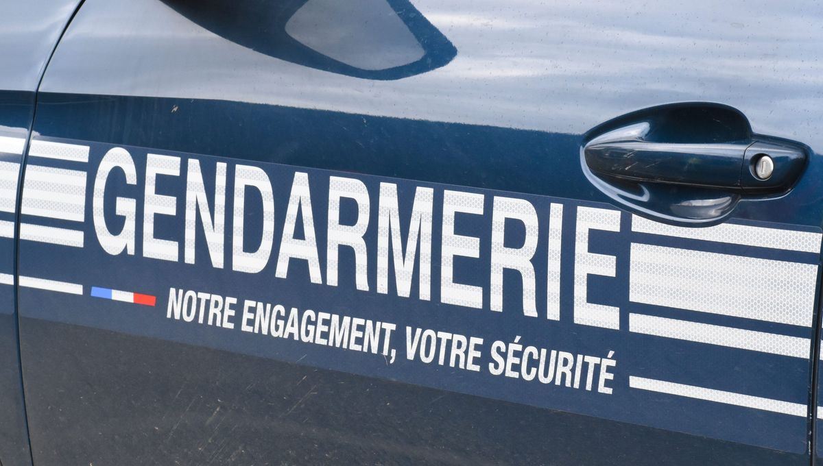 Un Homme Interpellé Au Nord Après Fraude SNCF Et Exhibition Sexuelle Un Homme Interpellé Au Nord Après Fraude SNCF Et Exhibition Sexuelle