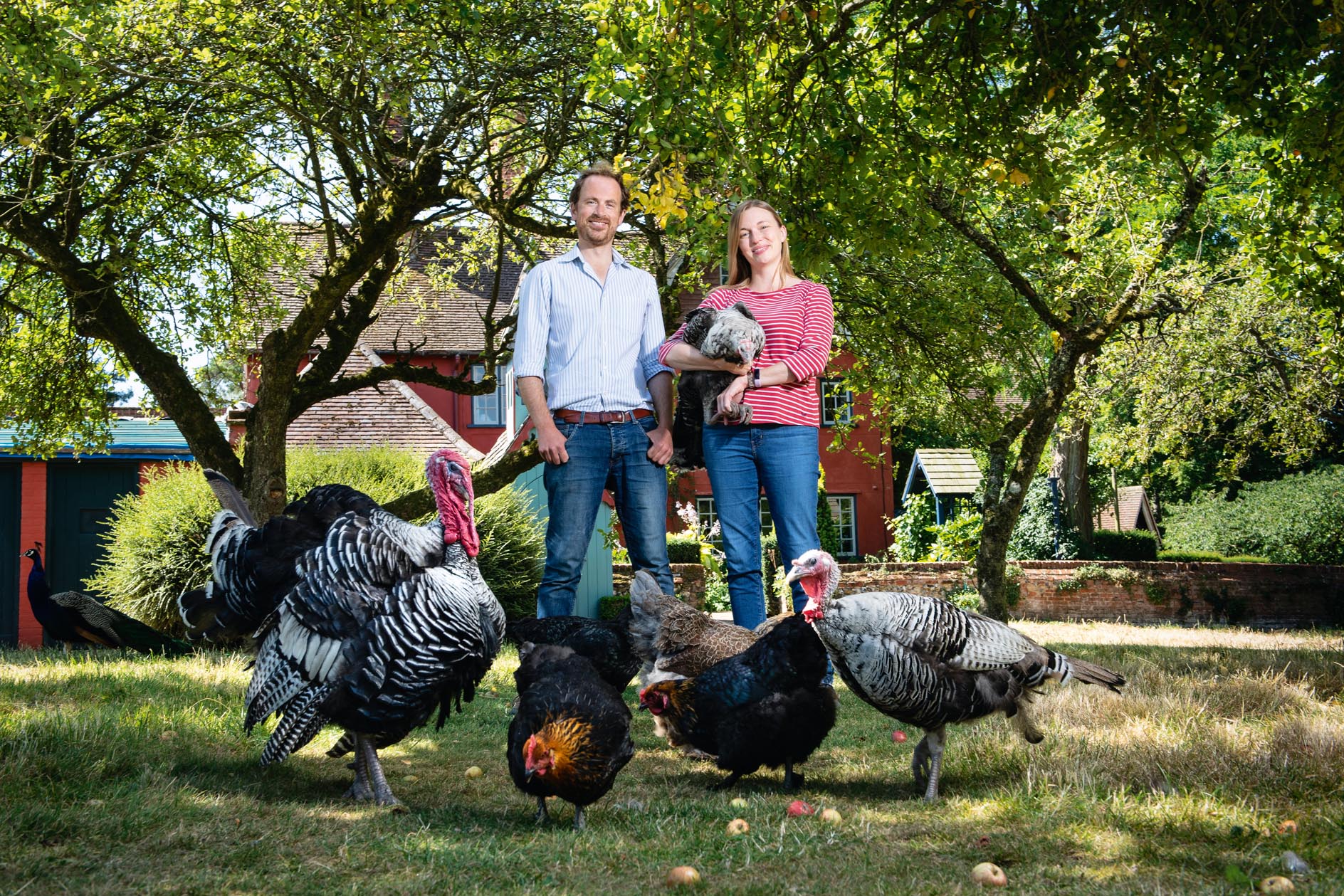 Under £1m Country Homes: Buyer Success Stories Under £1m Country Homes: Buyer Success Stories
