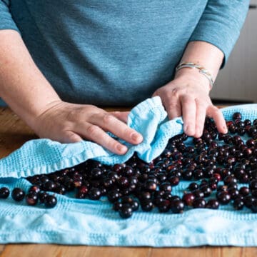 Understanding Cassis Blackcurrant Production Understanding Cassis Blackcurrant Production