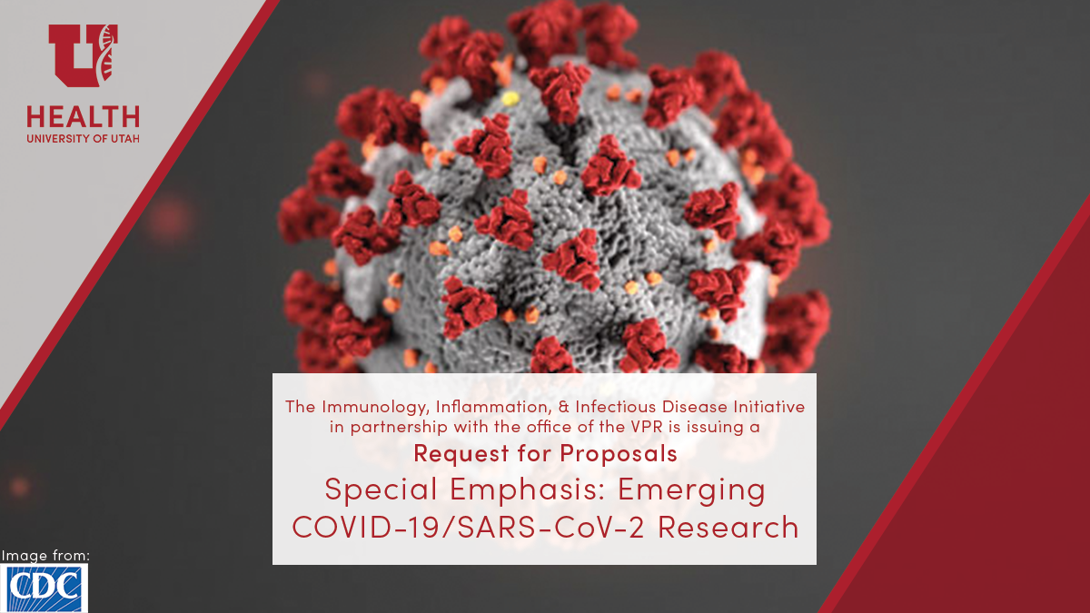 Understanding The Emerging COVID-19 LP.8.1 Variant Understanding The Emerging COVID-19 LP.8.1 Variant