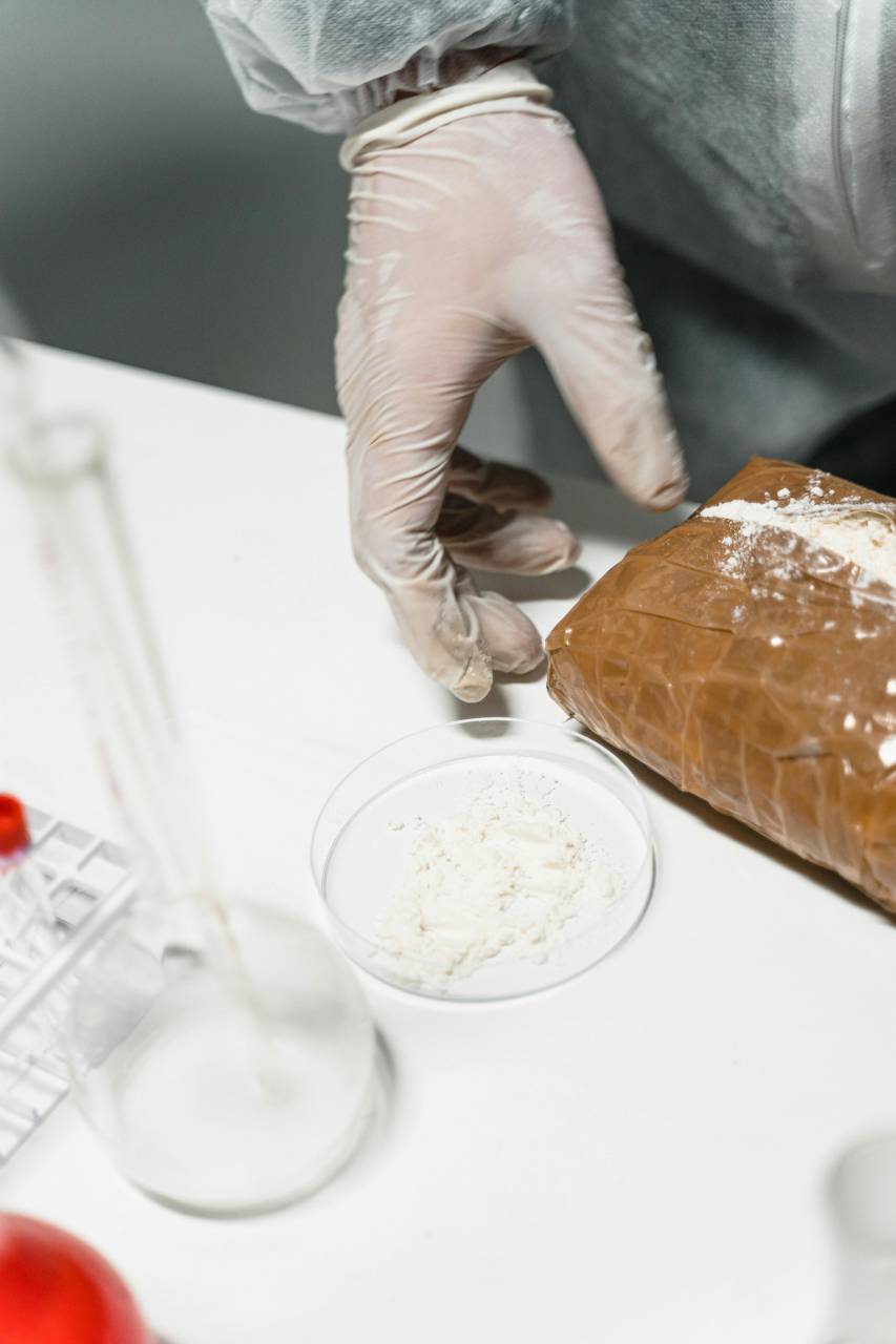Understanding The Surge In Cocaine: Potent Powder And Innovative Trafficking Methods Understanding The Surge In Cocaine: Potent Powder And Innovative Trafficking Methods