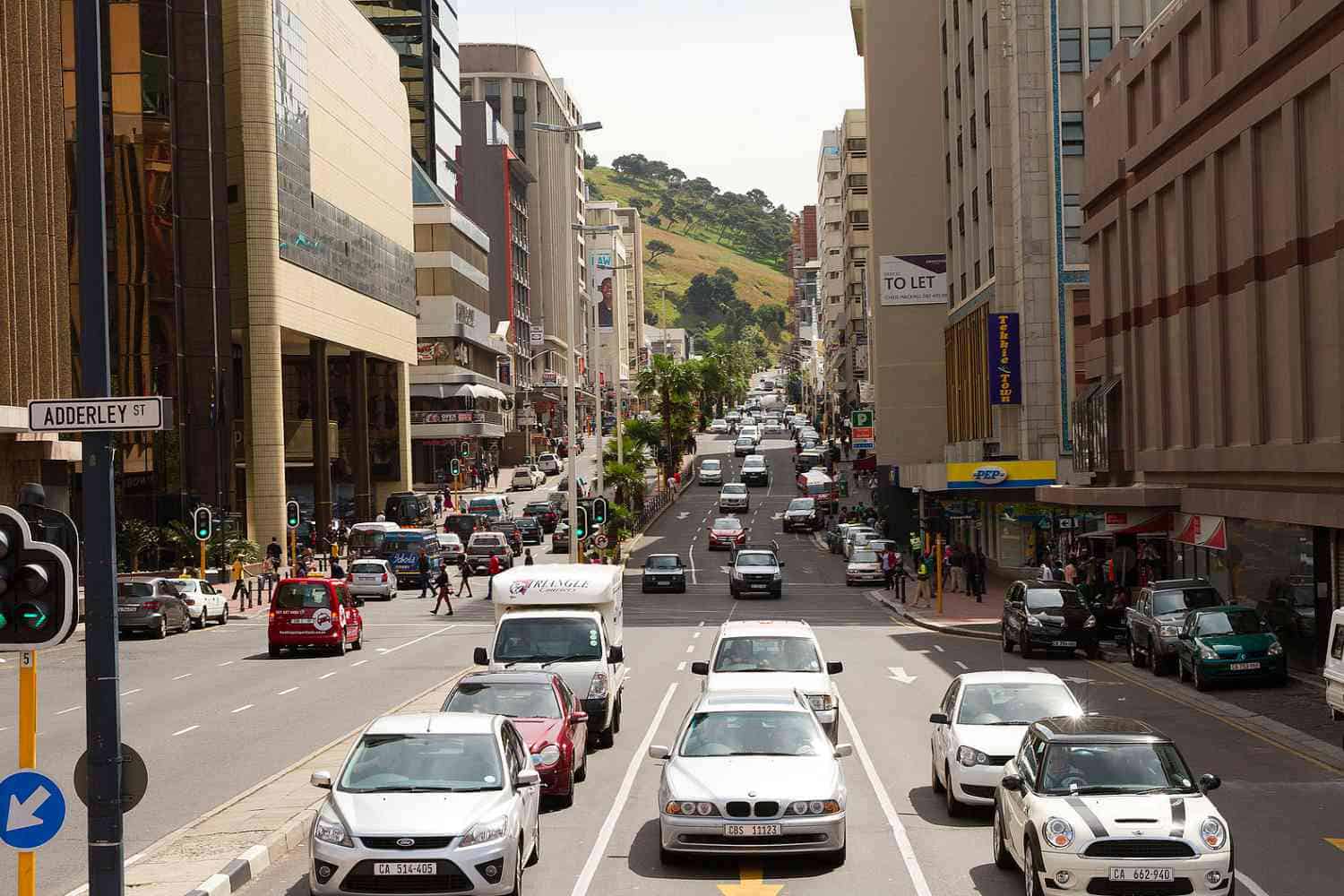 Unexpected Visitor: Elephant Seal Halts Cape Town Traffic Unexpected Visitor: Elephant Seal Halts Cape Town Traffic