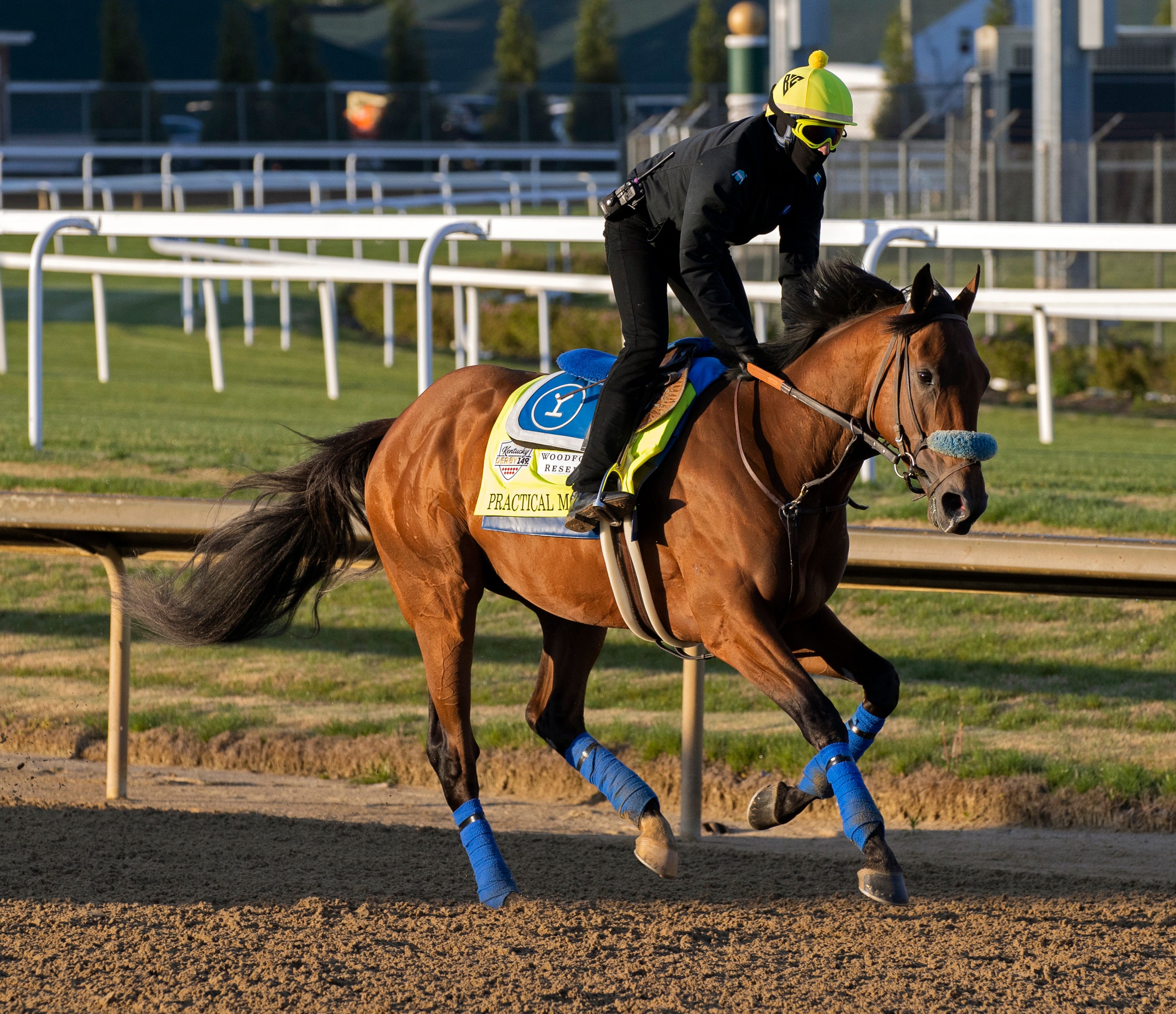 Unlocking The 2025 Tampa Bay Derby: Odds, Field, And Kentucky Derby Prospects Unlocking The 2025 Tampa Bay Derby: Odds, Field, And Kentucky Derby Prospects