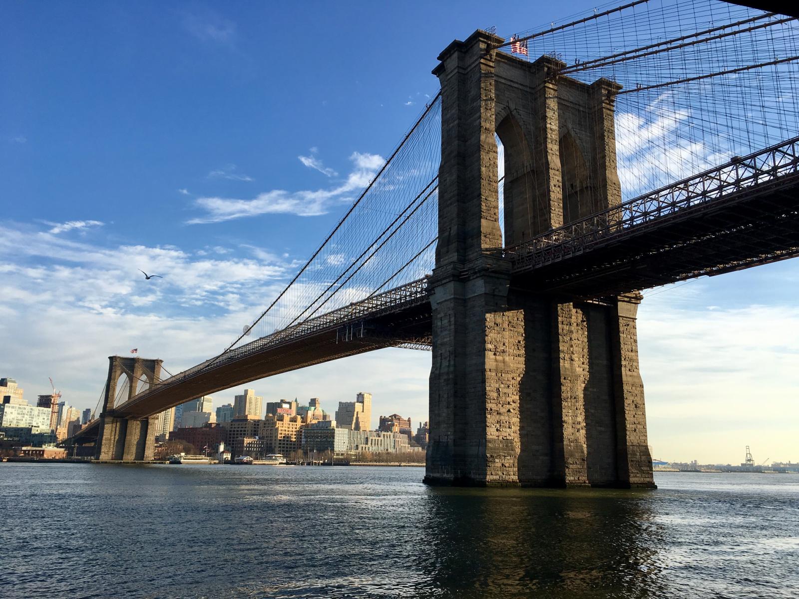 Update: Investigation Into Brooklyn Bridge Park Homicide Update: Investigation Into Brooklyn Bridge Park Homicide