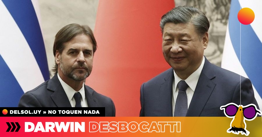 Uruguay Regala Tres Toros A Xi Jinping: Viaje A China Uruguay Regala Tres Toros A Xi Jinping: Viaje A China