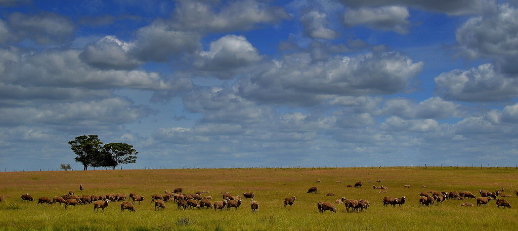 Uruguay's Emerging Film Production Landscape Uruguay's Emerging Film Production Landscape