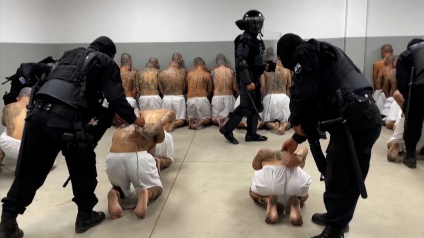US Detainees In El Salvador: Jeanine Pirro On Due Process Rights US Detainees In El Salvador: Jeanine Pirro On Due Process Rights