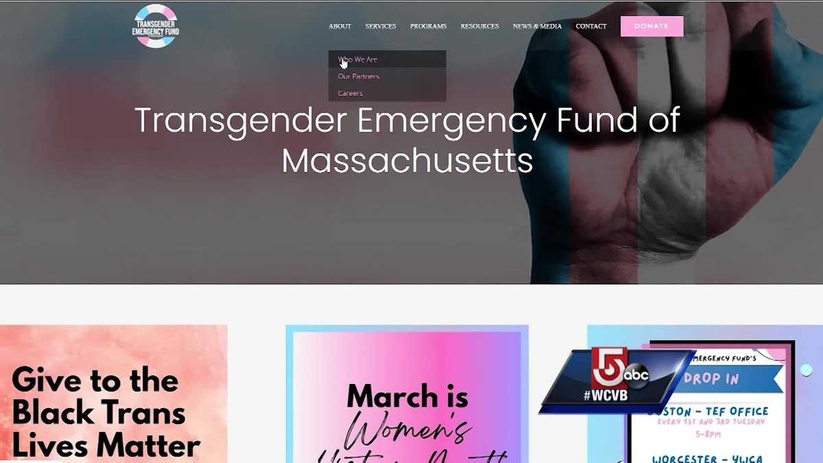 US Funding Of Transgender Mouse Research: A Detailed Look US Funding Of Transgender Mouse Research: A Detailed Look