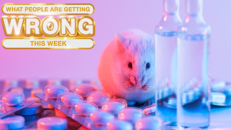 US Funding Of Transgender Mouse Research: Fact Or Fiction? US Funding Of Transgender Mouse Research: Fact Or Fiction?