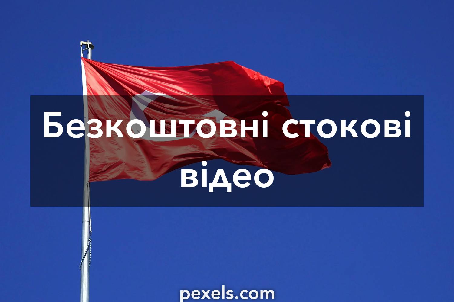 Ведення Бізнесу: ТОВ З 1 Учасником - Практичні Рекомендації Ведення Бізнесу: ТОВ З 1 Учасником - Практичні Рекомендації