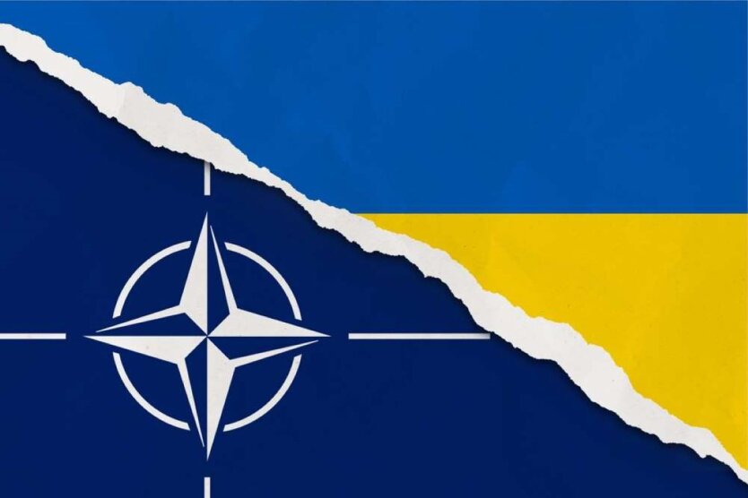 Вступ України До НАТО: Останні Переговори Та Позиція Єврокомісара Вступ України До НАТО: Останні Переговори Та Позиція Єврокомісара