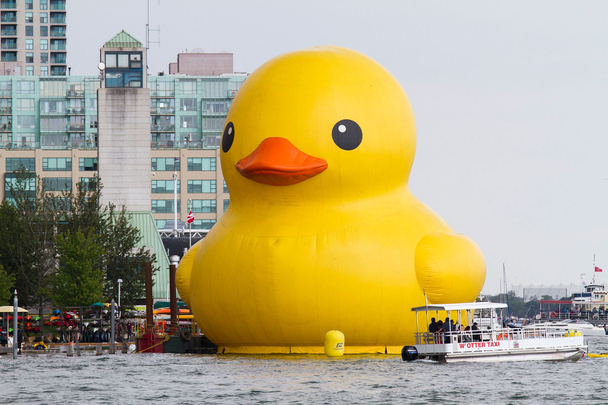 Water Safety Focus: World's Largest Rubber Duck Visits Myrtle Beach Water Safety Focus: World's Largest Rubber Duck Visits Myrtle Beach