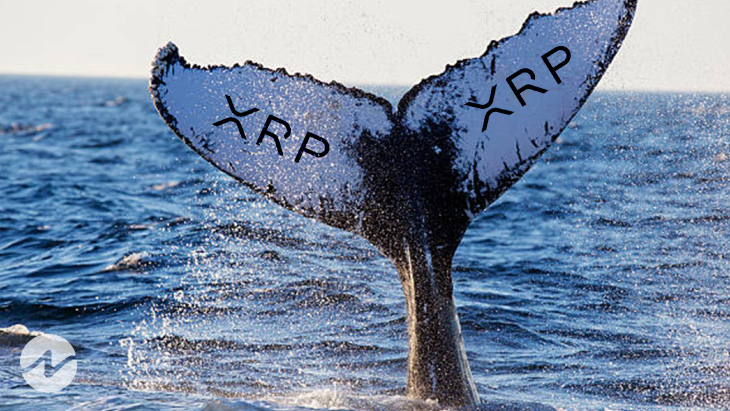 Whale Alert: 20M XRP Transaction – Implications For The Crypto Market Whale Alert: 20M XRP Transaction – Implications For The Crypto Market