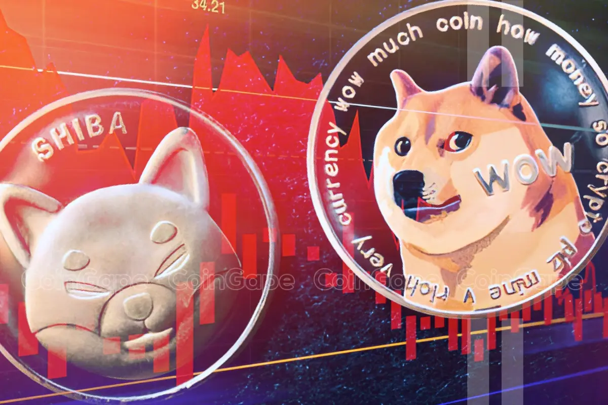 Why Are Dogecoin, Shiba Inu, And Sui Cryptocurrencies Rising? Why Are Dogecoin, Shiba Inu, And Sui Cryptocurrencies Rising?