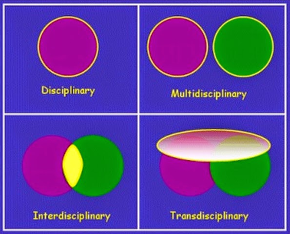 Why Interdisciplinary And Transdisciplinary Approaches Matter Why Interdisciplinary And Transdisciplinary Approaches Matter