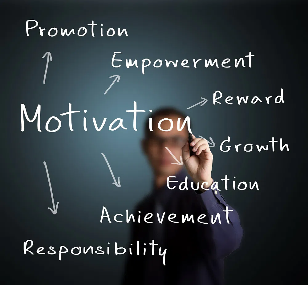 Why Middle Management Matters: Boosting Company Success And Employee Satisfaction Why Middle Management Matters: Boosting Company Success And Employee Satisfaction