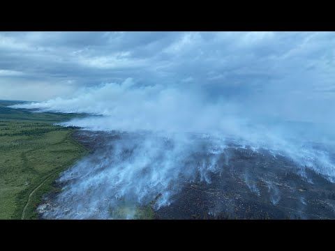Wildfire Emergency In Eastern Newfoundland: Widespread Destruction And Displacement Wildfire Emergency In Eastern Newfoundland: Widespread Destruction And Displacement