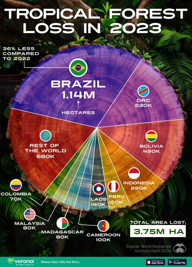 Wildfires Drive Unprecedented Global Forest Loss In 2023 Wildfires Drive Unprecedented Global Forest Loss In 2023