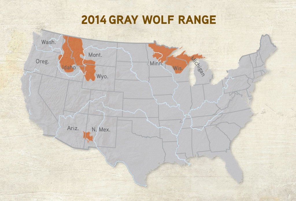 Wolves In The North State: A Growing Problem? Wolves In The North State: A Growing Problem?