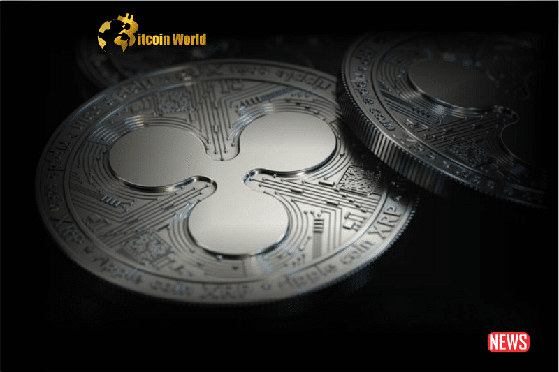 XRP Investment Surge: Analyzing The Impact Of Trump's Endorsement XRP Investment Surge: Analyzing The Impact Of Trump's Endorsement