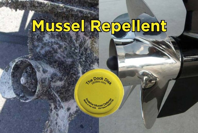 Zebra Mussel Invasion: Casper Boat Lift Infestation Zebra Mussel Invasion: Casper Boat Lift Infestation